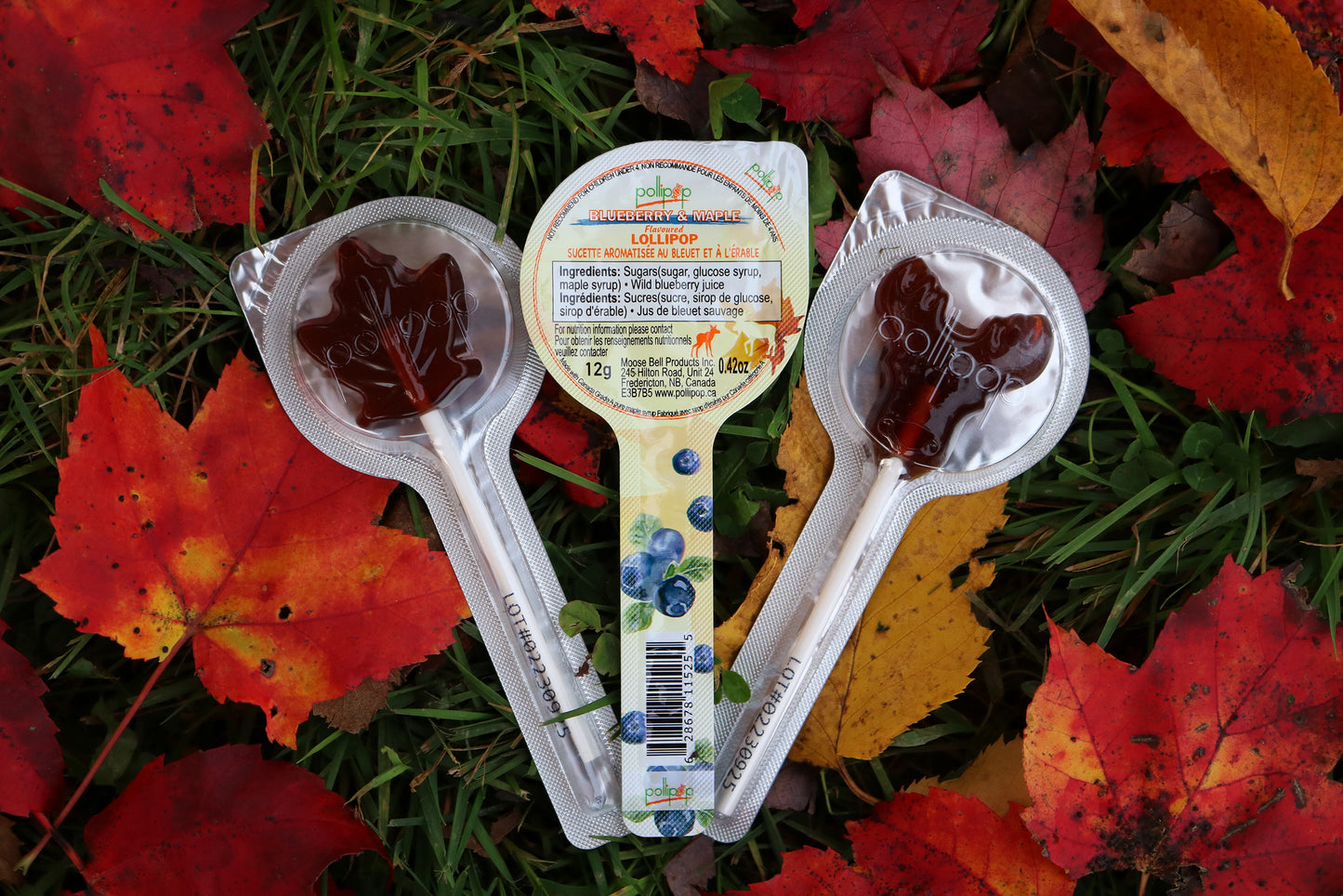 blueberry maple lollipop maple candy Pollipop Canada gift souvenir