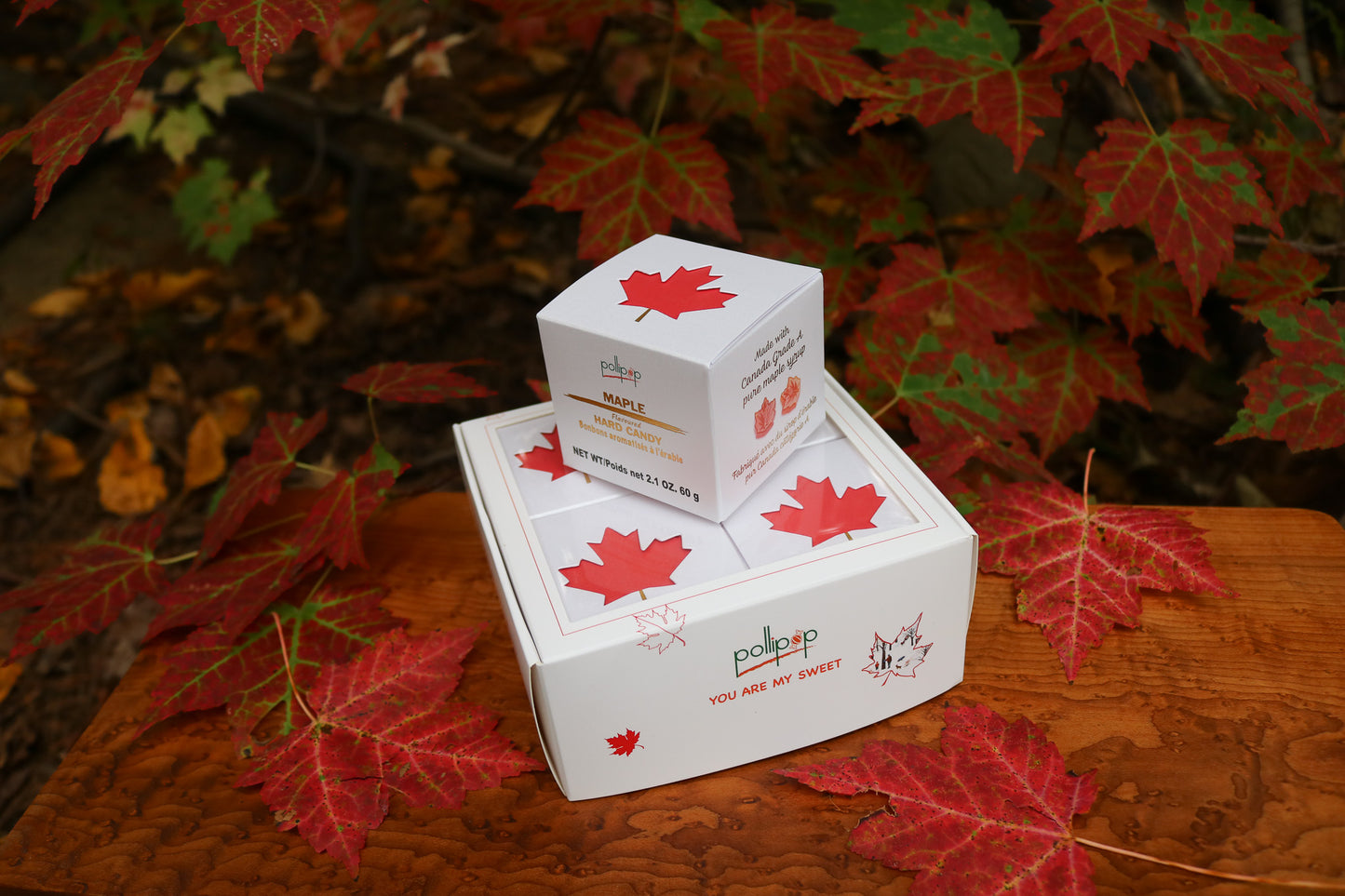 Maple Flavoured Candy Small Gift Box /Bonbon aromatisé à l'érable 60g box/boîte