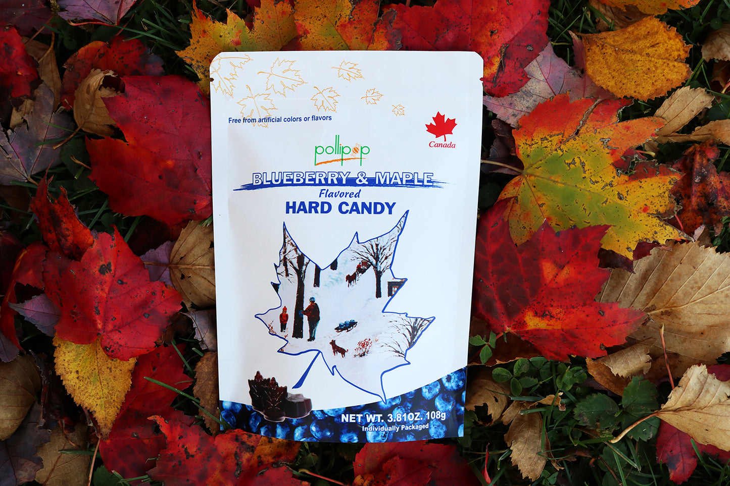 Pollipop maple candy blueberry lollipop maple sucker Pollipop Canada gift souvenir