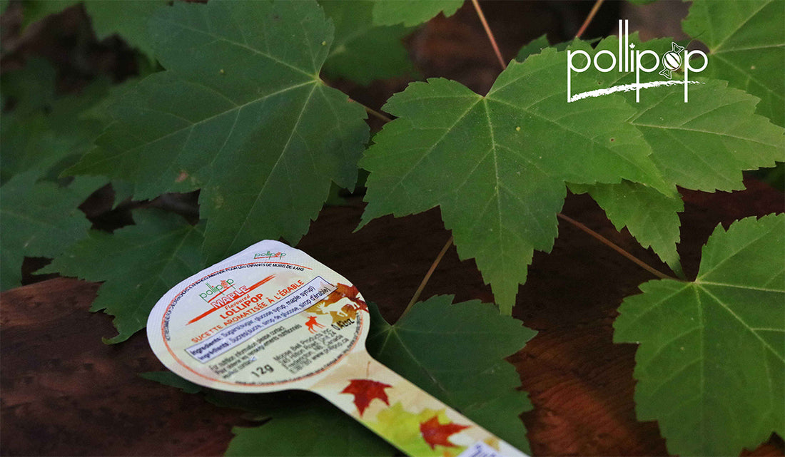 #ExploreNB continues to give away POLLIPOP lollipops this summer!