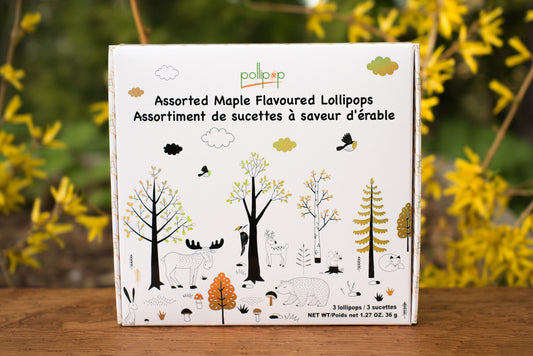 Assorted Lollipops Gift Box/Assortiment de sucettes  3X12g