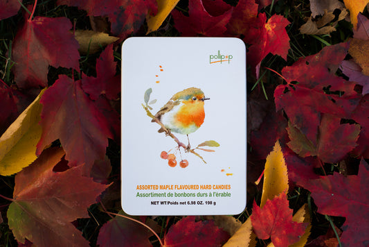 maple candy Canada gift Canadian gift