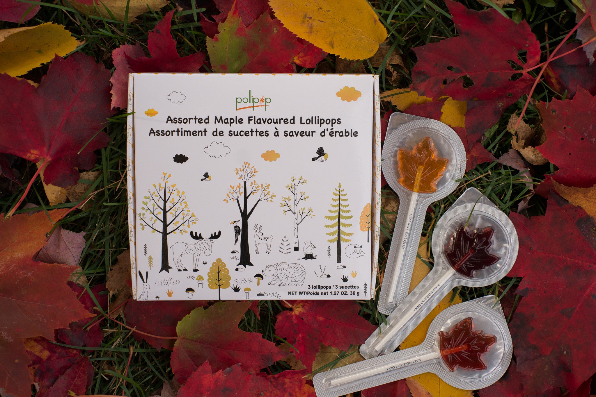 Assorted Lollipops Gift Box/Assortiment de sucettes 3X12g – POLLIPOP