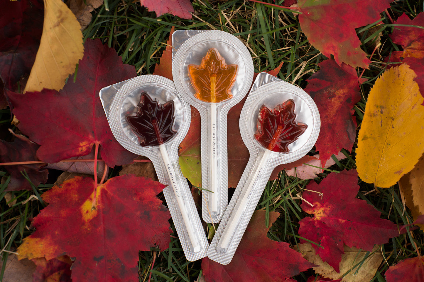 maple candy maple lollipop maple sucker Canada gift