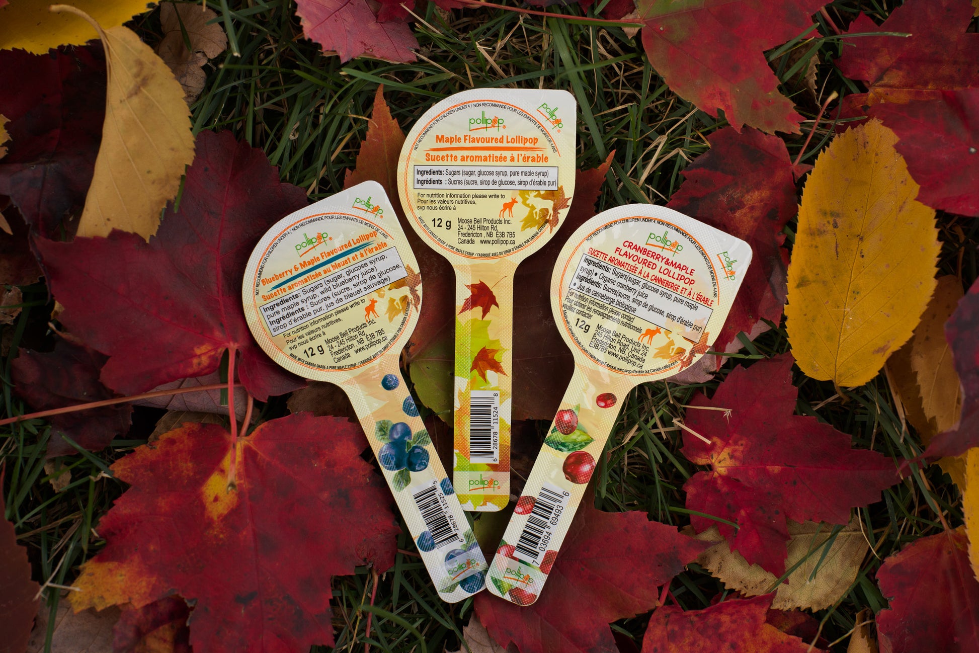 maple lollipop maple sucker blueberry cranberry candy maple candy Canada gift