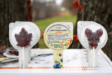 Load image into Gallery viewer, pollipop blueberry maple lollipop