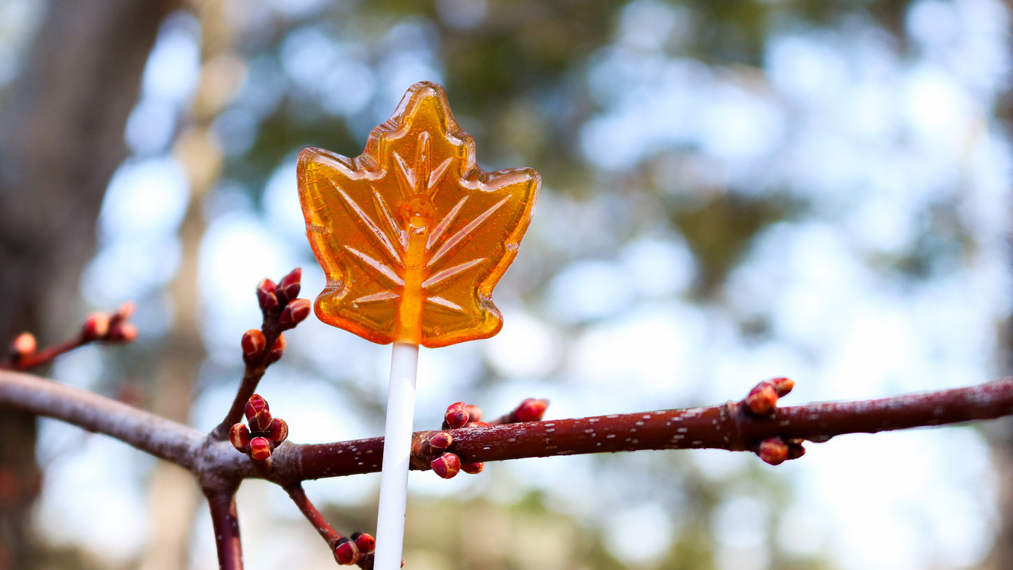 maple syrup lollipop sucker , Canada gift Canada gift souvenir