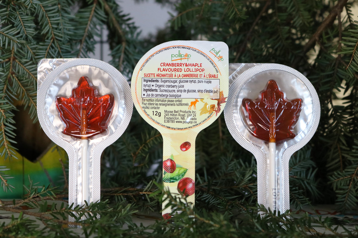 Cranberry, Maple Candy, Lollipop maple sucker Pollipop Canada gift souvenir