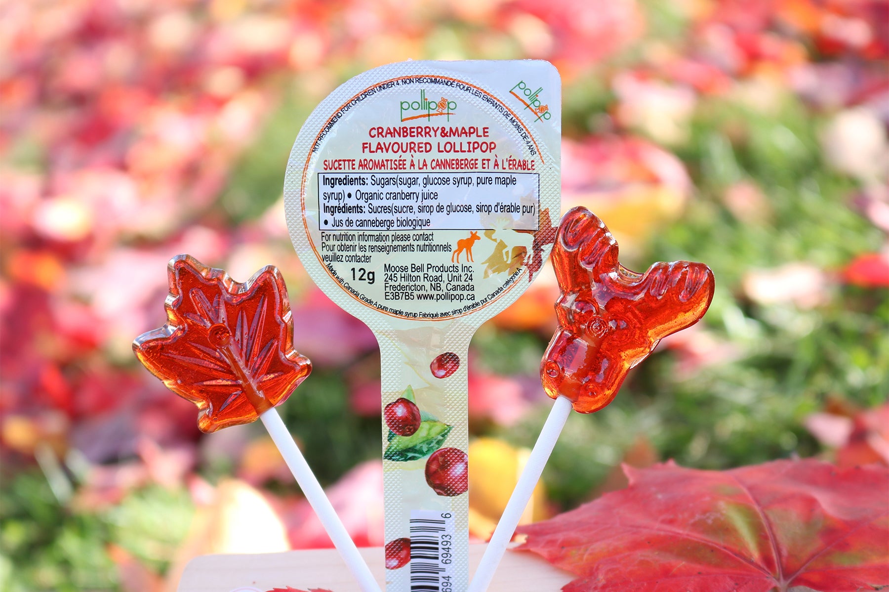 Pollipop Cranberry Maple Candy Lollipop