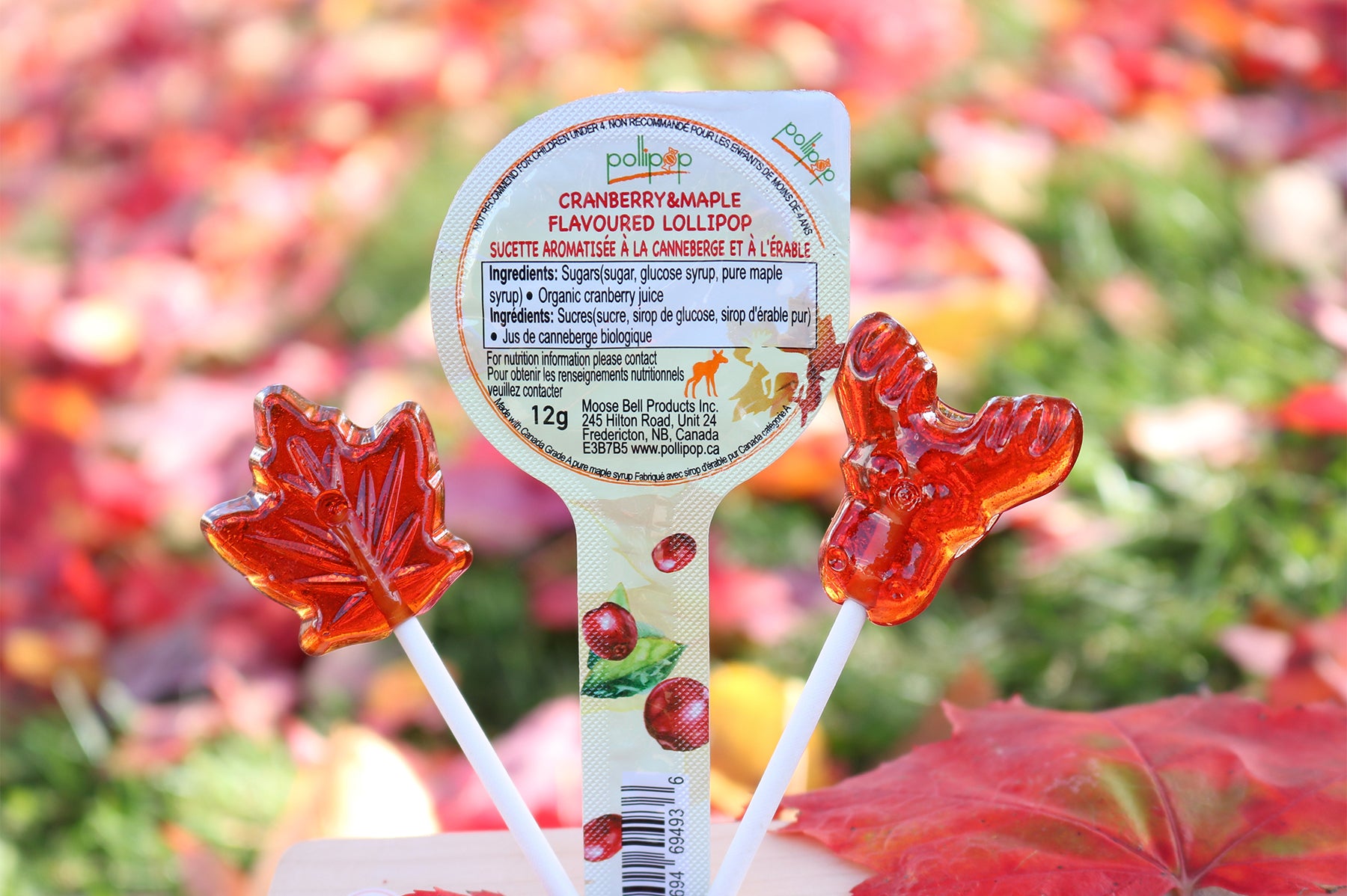 Pollipop Cranberry Maple Candy Lollipop sucker Canada gift souvenir