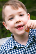 Load image into Gallery viewer, Pollipop maple candy