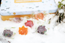 Load image into Gallery viewer, Pollipop maple candy blueberry cranberry hard candy