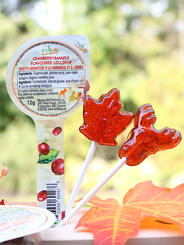 Pollipop maple cranberry candy lollipop sucker maple candy Pollipop Canada gift souvenir