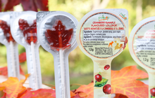 Load image into Gallery viewer, Pollipop cranberry maple lollipop sucker