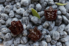 Load image into Gallery viewer, Pollipop haskap maple candy