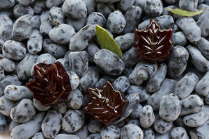Pollipop haskap maple candy
